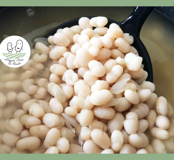 Les bienfaits de la Mogette.